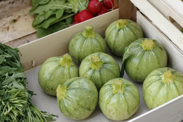 Comment créer une ambiance de jungle urbaine dans un bar tropical?