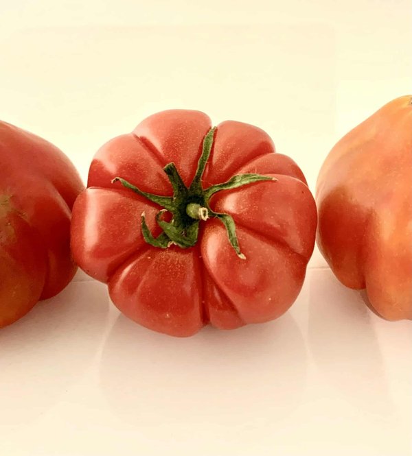Quelles sont les meilleures variétés de tomates pour réaliser une sauce tomate maison ?